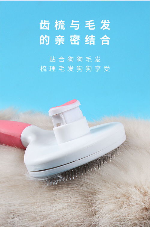 貓咪狗狗寵物除毛梳子梳毛用品擼貓泰迪掉毛清理器去浮毛狗梳毛刷